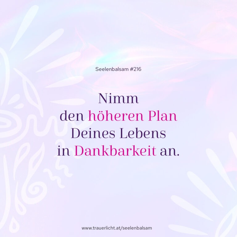 Nimm den höheren Plan Deines Lebens in Dankbarkeit an.