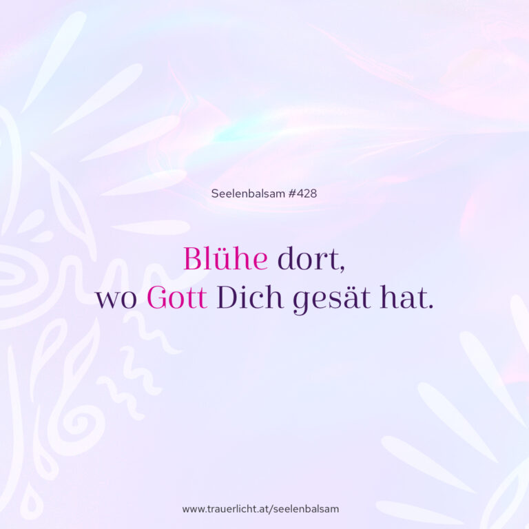 Blühe dort, wo Gott Dich gesät hat.