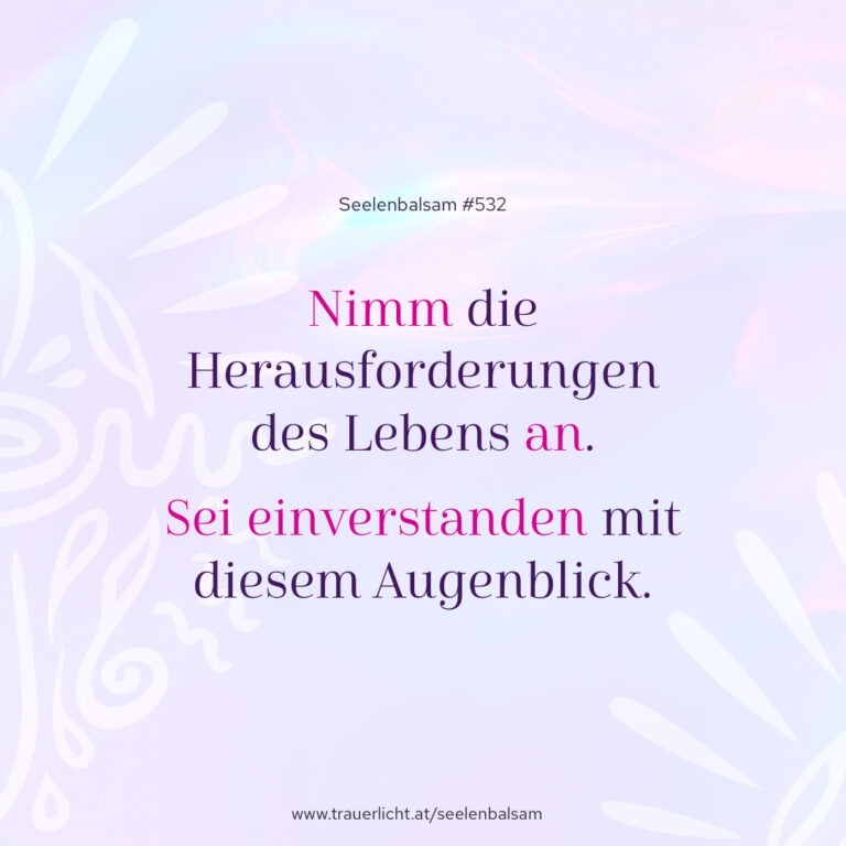 Nimm die Herausforderungen des Lebens an. Sei einverstanden mit diesem Augenblick.