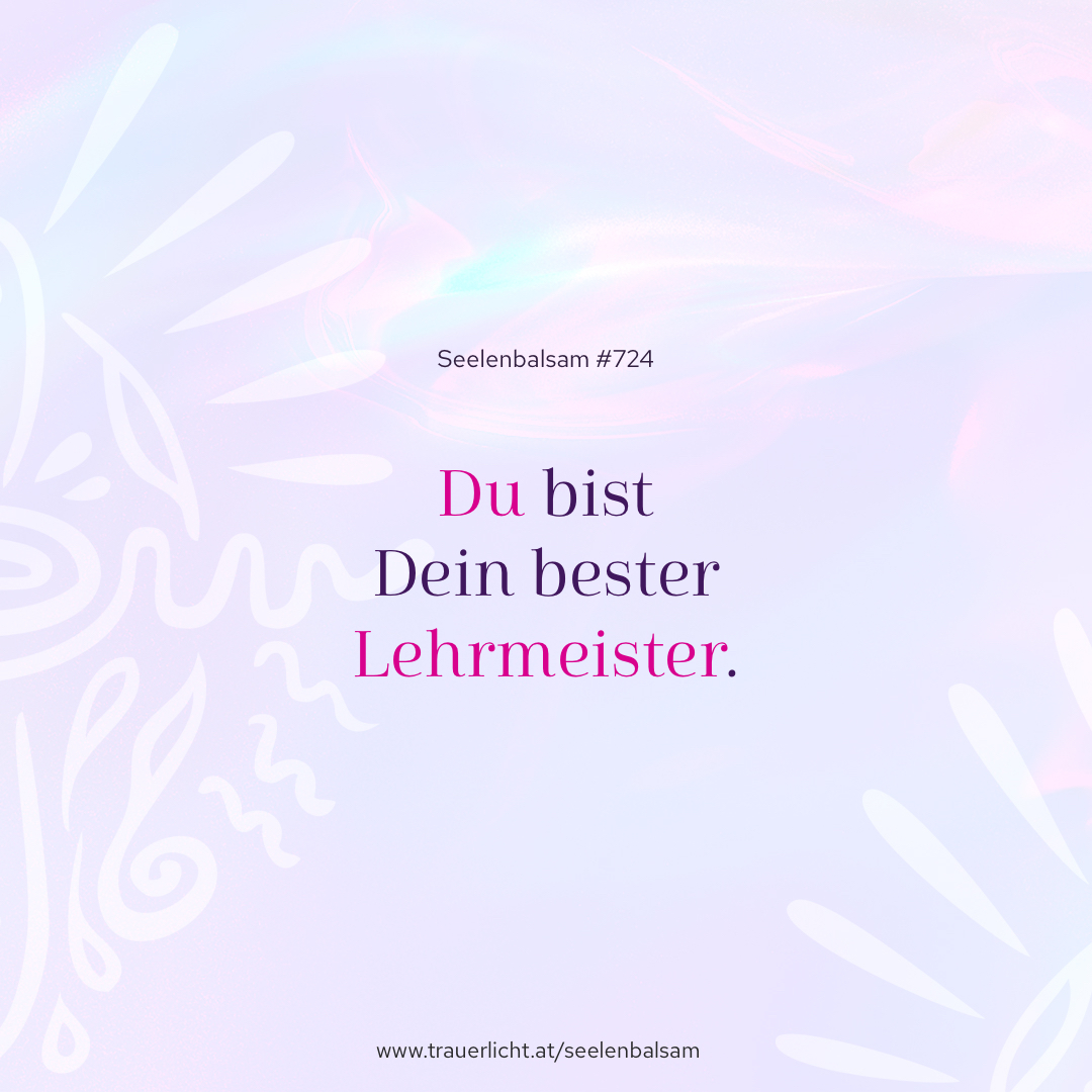 Du bist Dein bester Lehrmeister.