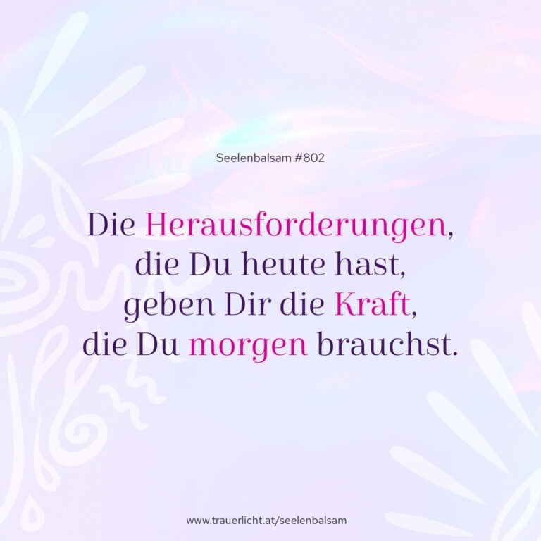 Die Herausforderungen, die Du heute hast, geben Dir die Kraft, die Du morgen brauchst.