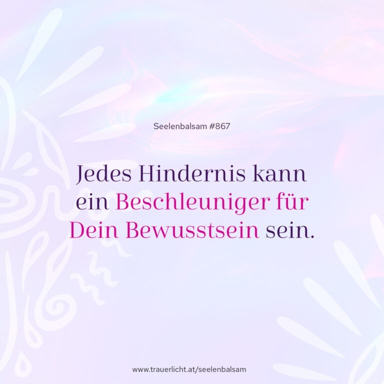 Jedes Hindernis kann ein Beschleuniger für Dein Bewusstsein sein.