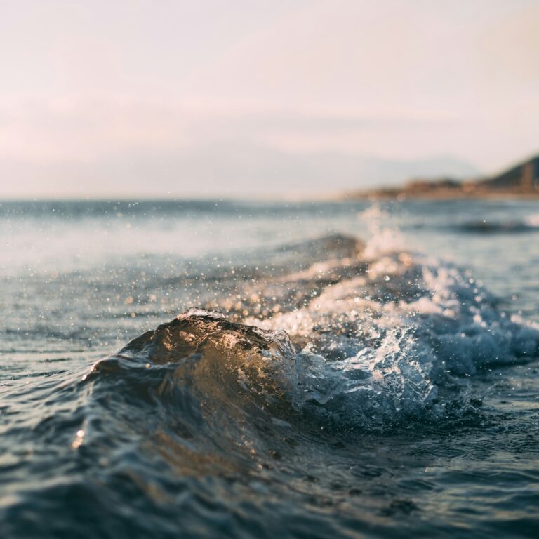 mourad-saadi-GyDktTa0Nmw-unsplash Kopie