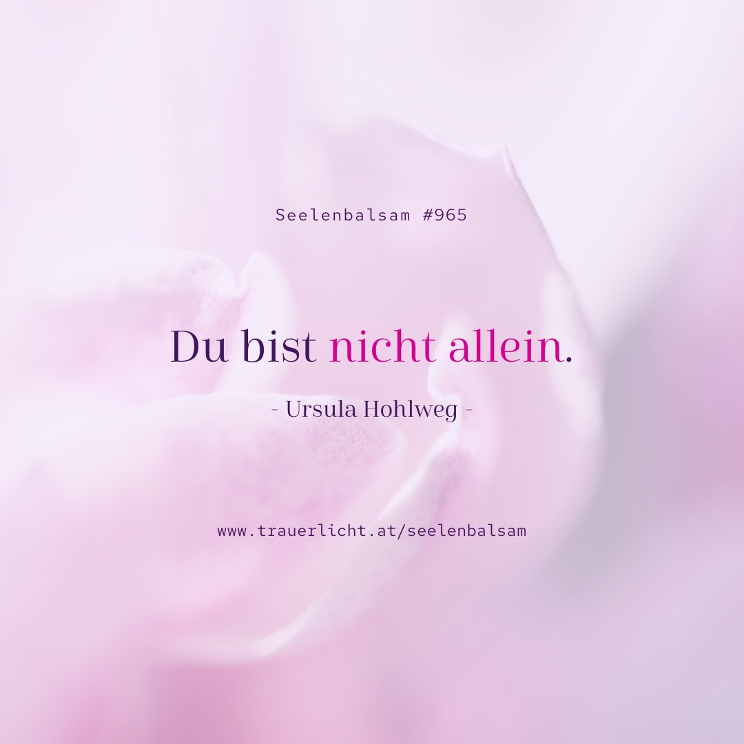 Du bist nicht allein. Seelenbalsam #965