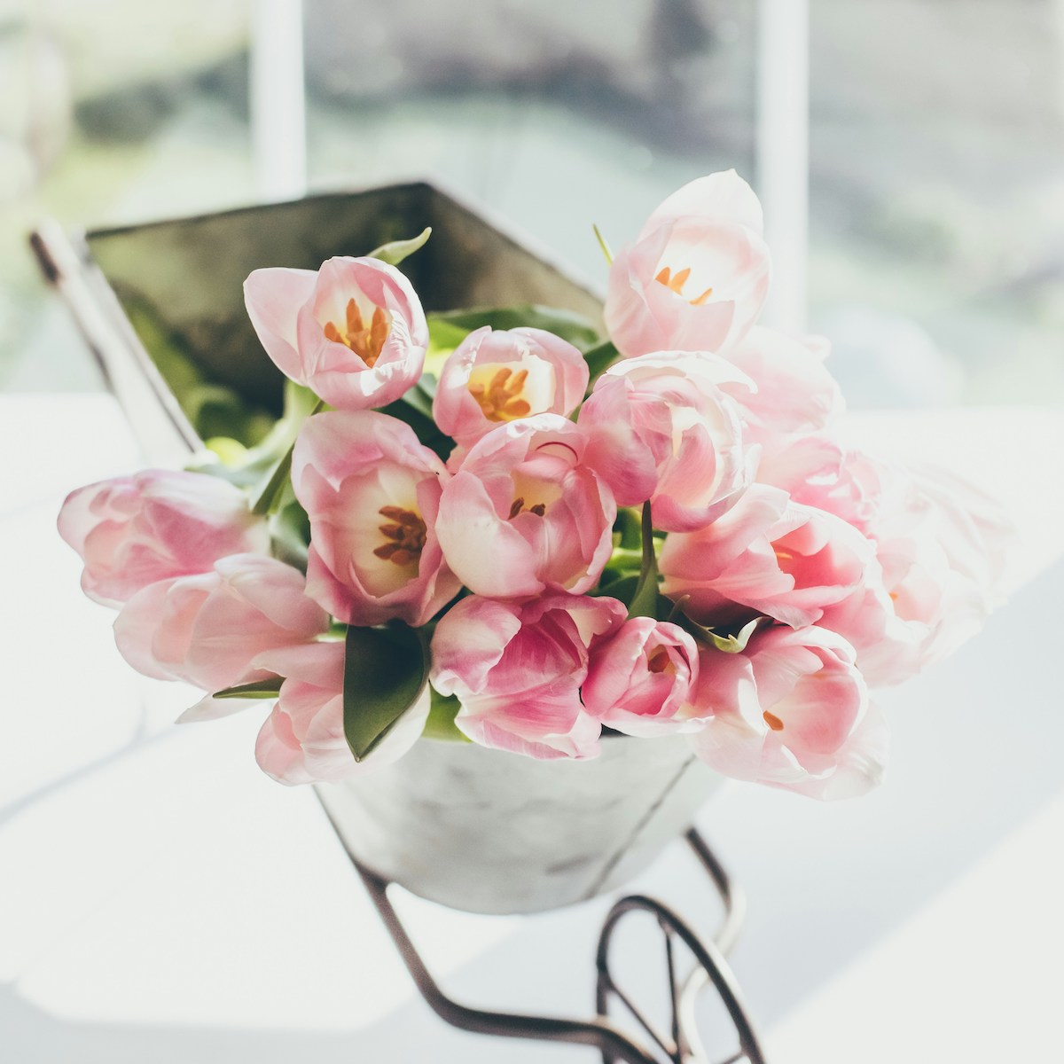 Stilleben mit rosa Blüten für von der dunkelheit zum licht